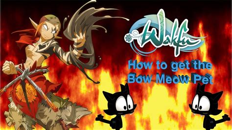 The Wakfu Guide How To Get The Bow Meow Pet Youtube