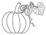 Pumpkin Coloring Printable Pumpkins Colouring Leaves Smile Sure Creative sketch template