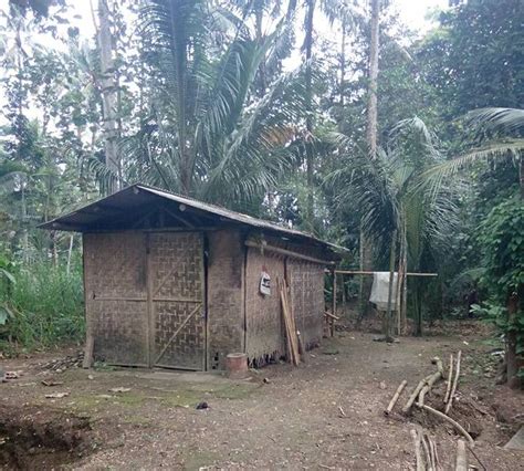 Rumah Gubuk Bambu Jaman Dulu Rumah Melo