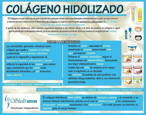 Beneficios Del Colágeno Hidrolizado Shelo En 2019 Colageno