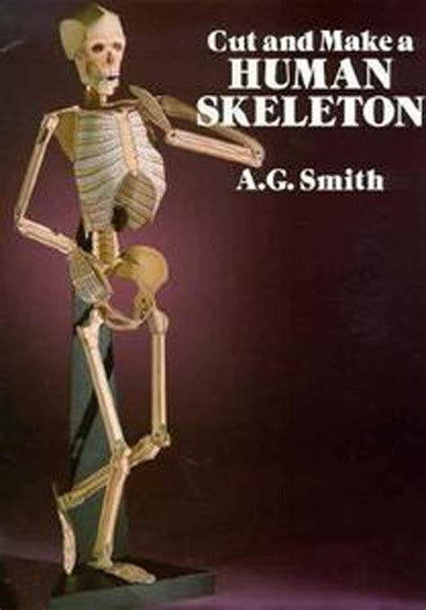 Papercraft Human Skeleton Cut And Make Kit 1989