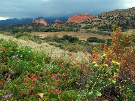 Springs flower shop, colorado springs, colorado. Wildflower Hikes near Colorado Springs, Colorado - Visit ...