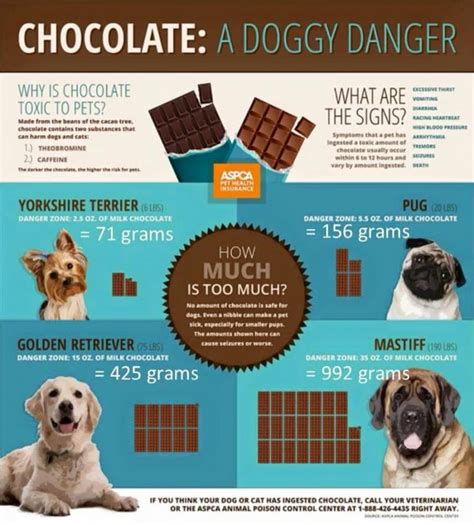 Have A Happy Easter But No Chocolate For Dogs Holidays4dogs Home