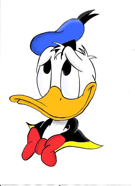 Donald Duck Duck Cartoon Disney Duck Cartoon