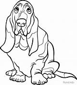 Hunden Basset Hound Anlass Gespräche sketch template