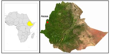 Palsar Fbs L Hh Mode And Landsat Tm Data Fusion For Geological Mapping