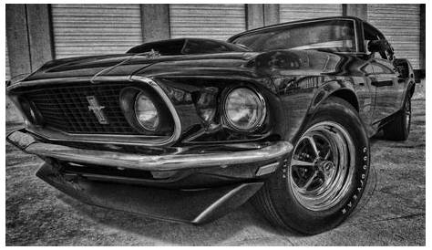 mustang black and white