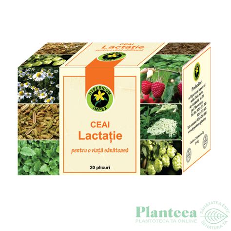 Ceai Lactatie 20dz Hypericum Plant Pret 5 9 Lei Planteea