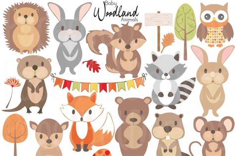 Baby Woodland Animals Clipart By Paperhutdesigns Thehungryjpeg