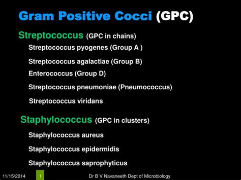 Ppt Gram Positive Cocci Gpc Powerpoint Presentation Free Download Id6660508