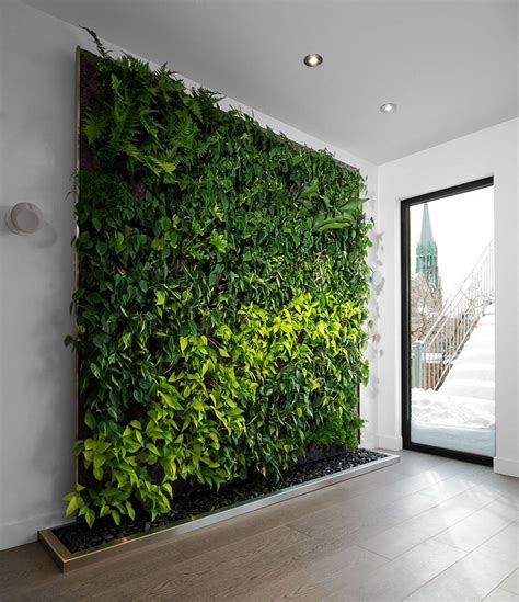 Indoor Plant Wall Decor Ideas Ailableif You Are Looking For Modern