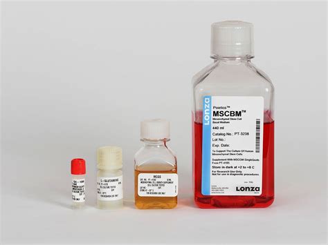 Mscgm Mesenchymal Stem Cell Growth Medium Bulletkit Lonza