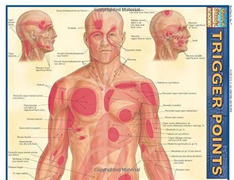 Reflexology Massage Techniques Lots Of Charts The Whoot Triggerpunkte Gesundheit Körper