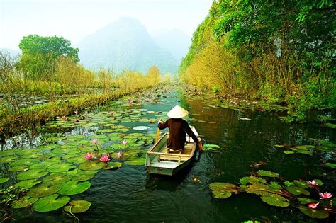 A Person In A Small Boat On A Body Of Water With Lily Pads And