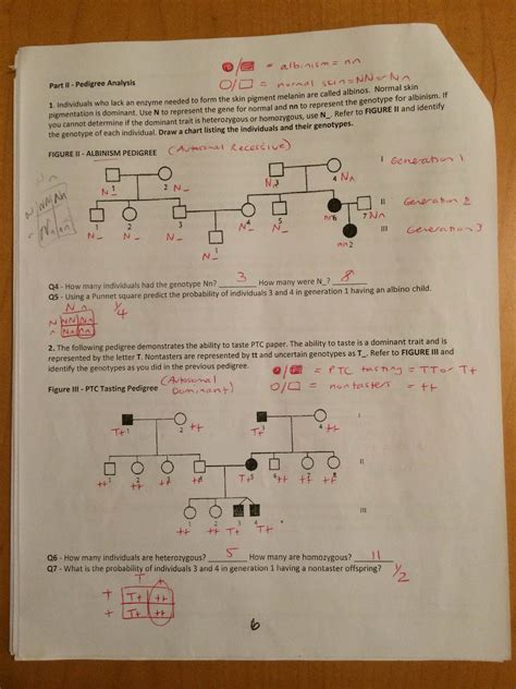 How many males are there? Key- PEDIGREE ANALYSIS WORKSHEET - Mrs. Paulik's Website