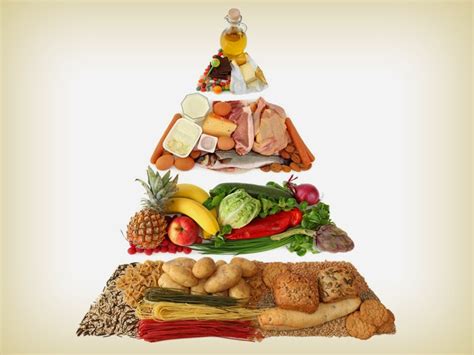 Fantastis 30 gambar kartun makanan berkhasiat konsep gizi seimbang pengganti 4 sehat 5 sempurna halaman download 7 tip pastik di 2020 piring makanan resep makanan. MEDIA PENYULUHAN PERIKANAN: PERANAN IKAN DALAM POLA GIZI ...