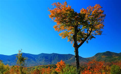 White Mountains New Hampshire Technicolor Foliage