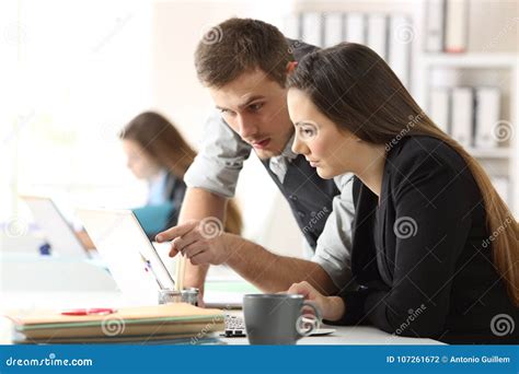 Office Coworkers Working Together Stock Photo Image Of Feedback