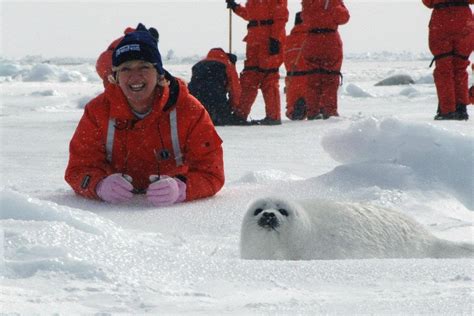seal hunting should be banned in canada