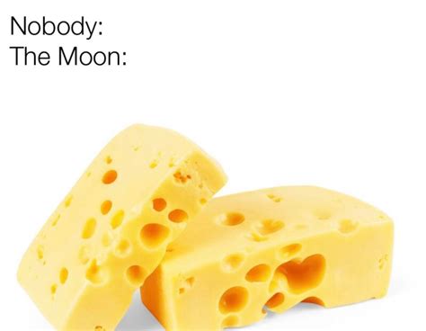 The Moon Is Made Out Of Cheese Rdankmemes