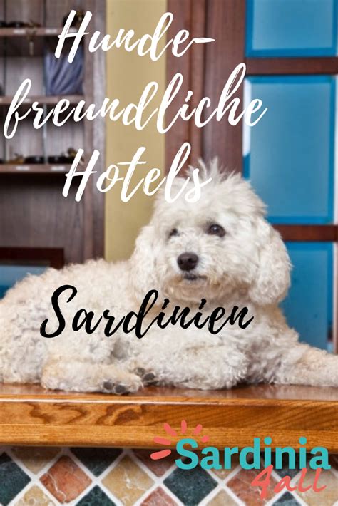 #30 best value of 114 camping in sardinia. Hundefreundliche Hotels 🐶 SARDINIEN in 2020 | Hotel ...