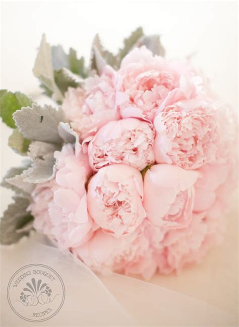 Merry Brides — Peonies And Dusty Miller Bouquet