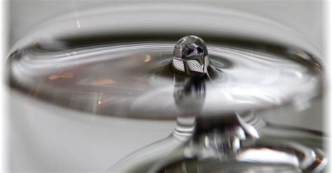 Regardless, we rounded up all the. Themenwoche Blubb! | Themenwoche | Galerie | MacTechNews.de