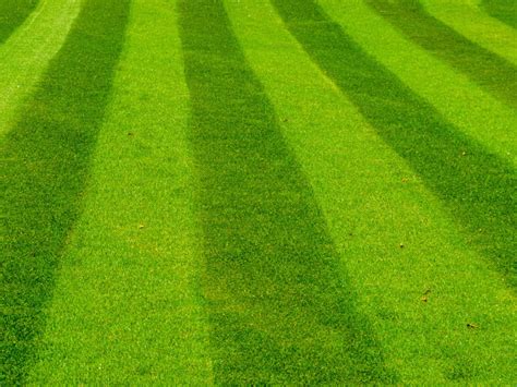 Lawn Pattern Landscaping Tips For Cutting A Lawn In Patterns