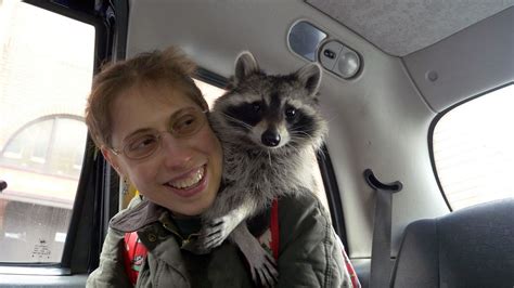 Talented Raccoon Mirror Online