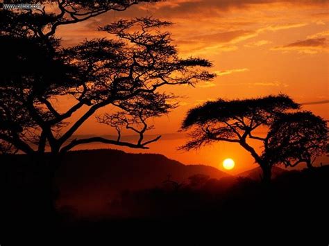 Arusha In Tanzania African Sunset Africa Sunset Sunset Pictures