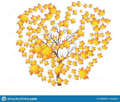 Autumn Birch Tree With Falling Leaves On White Background Elegant