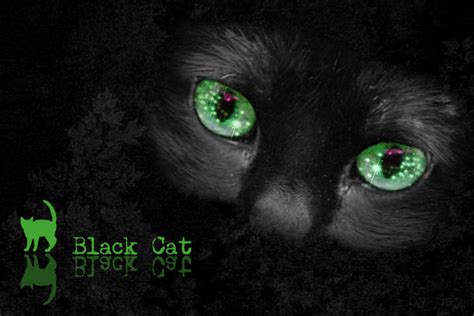 Black Cat With Green Eyes By Sayu9 On Deviantart