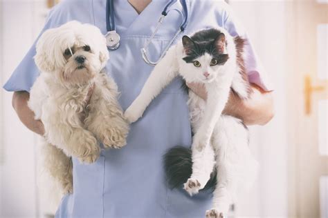 1,400 free & charitable clinics across the u.s. Our Veterinarians | Hanover Veterinary Clinic