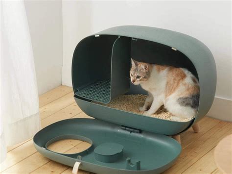 Modern And Luxury Ms Modern Cat Litter Box Laptrinhx