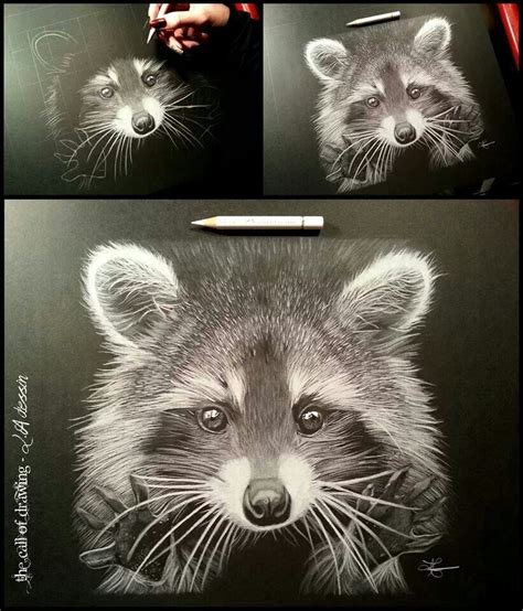 Lorine Angelmann Black Paper Drawing Color Pencil Drawing Black And