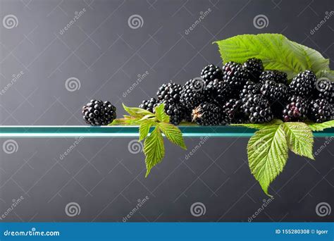Ripe Juicy Blackberries With Leaves Stock Photo Image Of Plant Macro