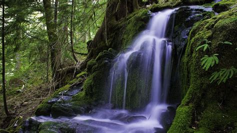 Beautiful Forest Waterfall Mac Wallpaper Download Allmacwallpaper
