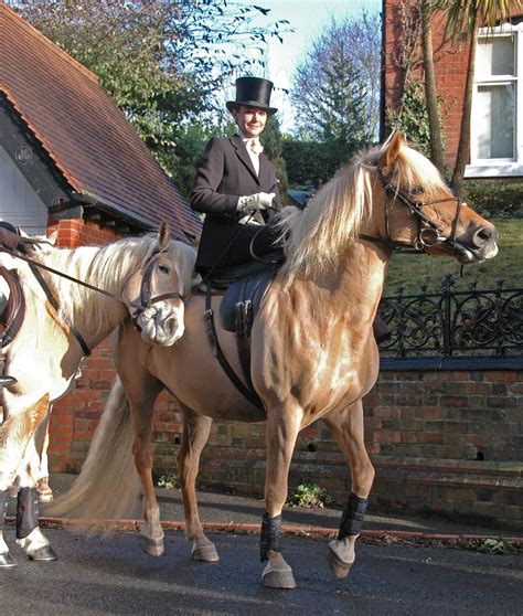 Albrighton Woodland Hunt Pretty Side Saddle Rider And Two Flickr