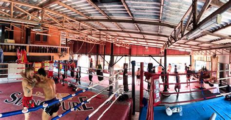 the best muay thai camps in thailand for training fight preparation