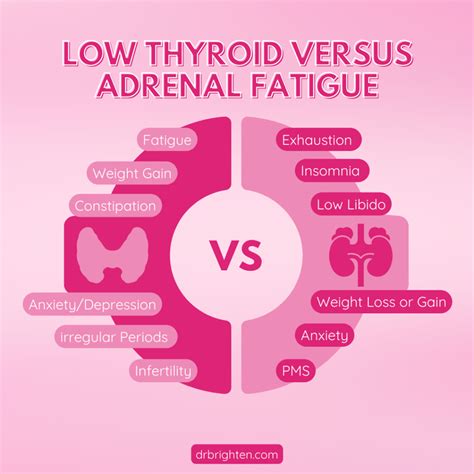 Adrenal Fatigue Vs Low Thyroid Dr Jolene Brighten