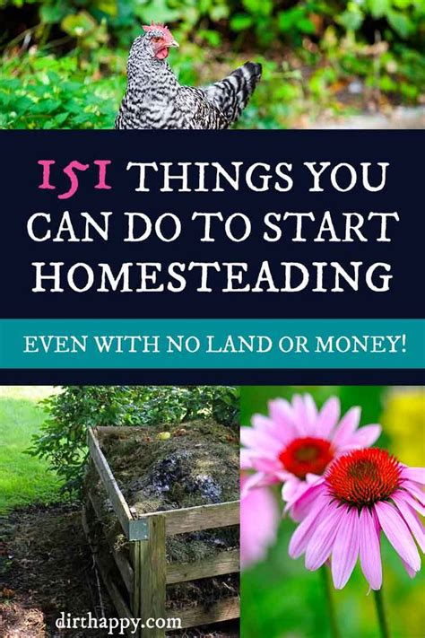 151 Ways To Start A Homestead Even With No Land Or Money