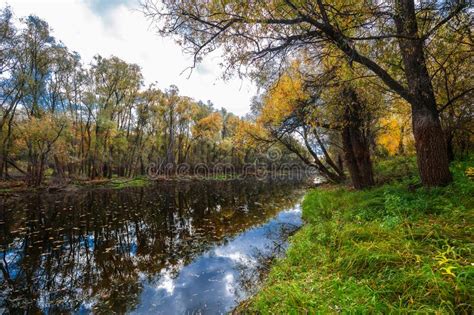 Autumn Landscape On The River Western Siberia Novosibirsk Region