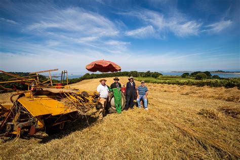 Tons Of Barley Harvested The Vintage Way For Show Guernsey Press