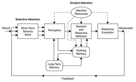 Human Information Processing Model Provided With Permission Lee J
