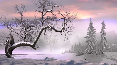 Nature Landscapes Trees Forest Winter Snow Seasons Fog