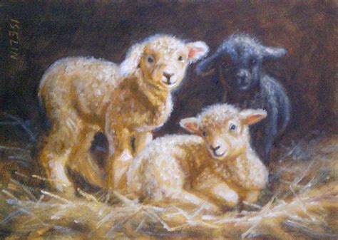 Three Of Us Here 5x7 Sheep Paintings Sheep Sheep And Lamb