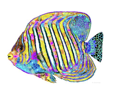 Colorful Angelfish Art Tropical Queen Sharon Cummings Painting By