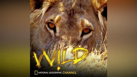 National Geographic Channel Wild On Apple Tv