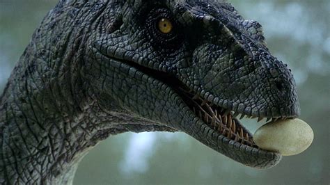 Jurassic Park 3 Velociraptor Female Toy