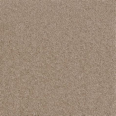Beige Carpet Texture Ubicaciondepersonascdmxgobmx